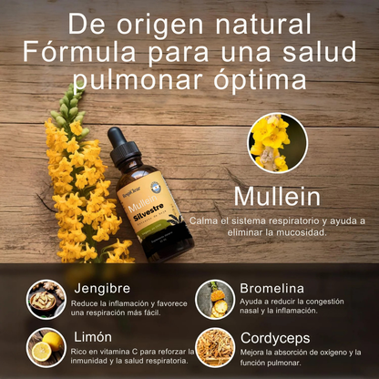 Nuevas gotas de Mullein de máxima potencia para fumadores | RespiClear