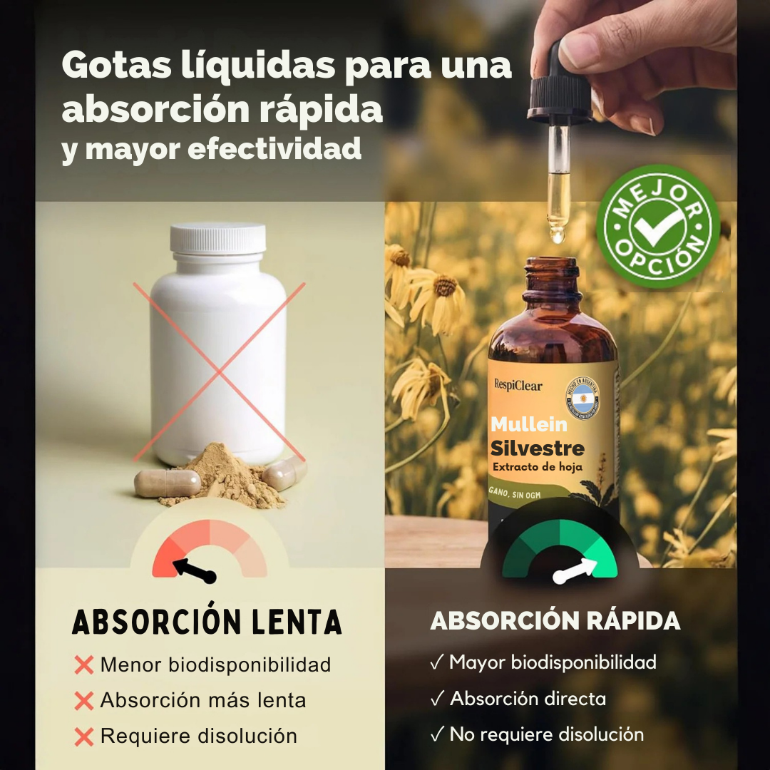 Nuevas gotas de Mullein de máxima potencia para fumadores | RespiClear